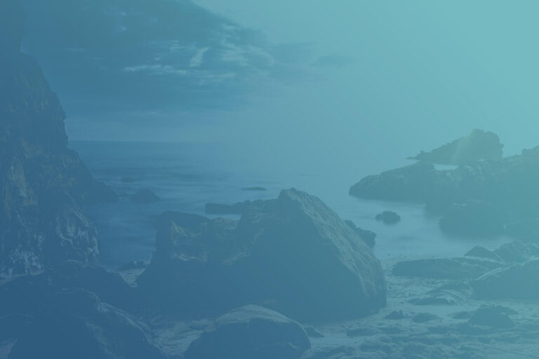 The common but often waste of time things a first phase of SEO includes