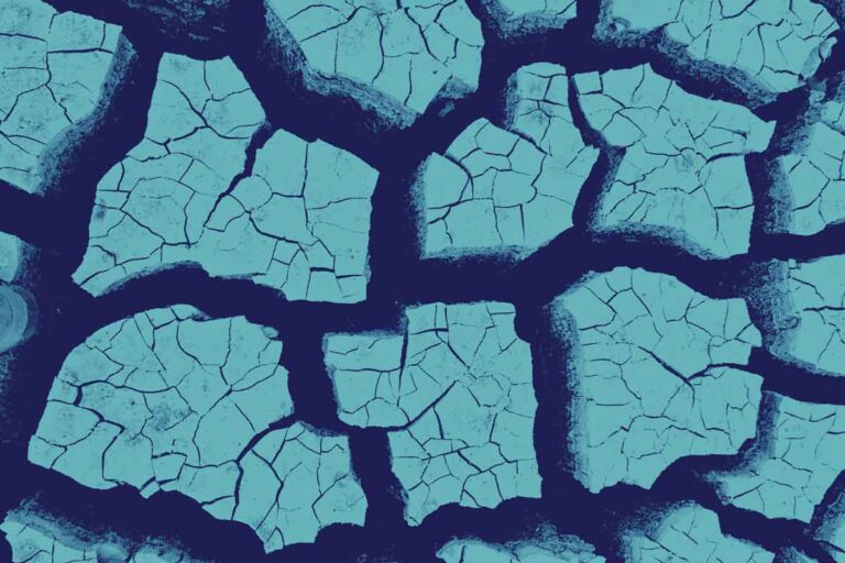 Your subject matter should determine whether and how you handle SEO